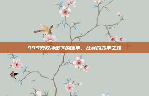 995新政冲击下的德甲，比赛的变革之路