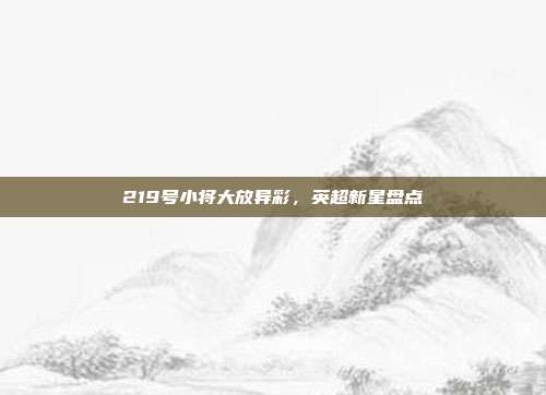 219号小将大放异彩，英超新星盘点