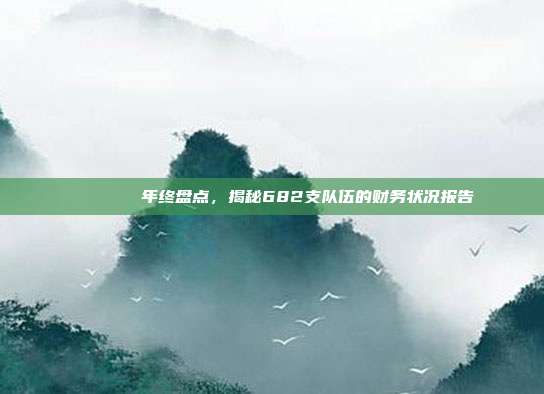 📊💵年终盘点，揭秘682支队伍的财务状况报告