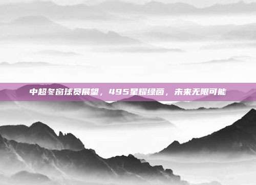 中超冬窗球员展望，495星耀绿茵，未来无限可能