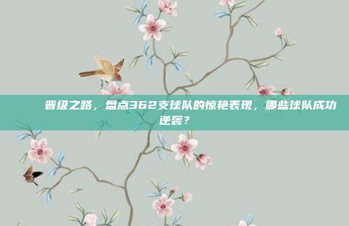 🎈 晋级之路，盘点362支球队的惊艳表现，哪些球队成功逆袭？